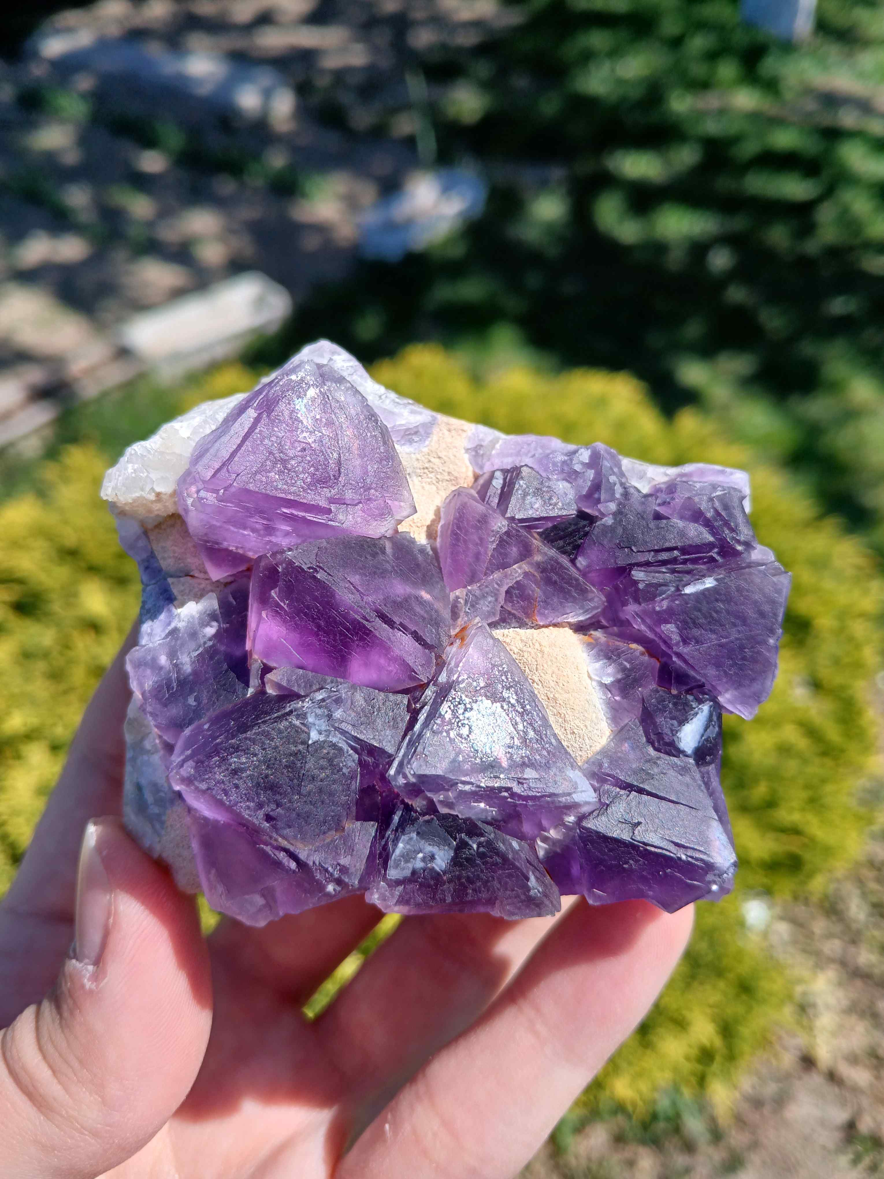 Scheelite
