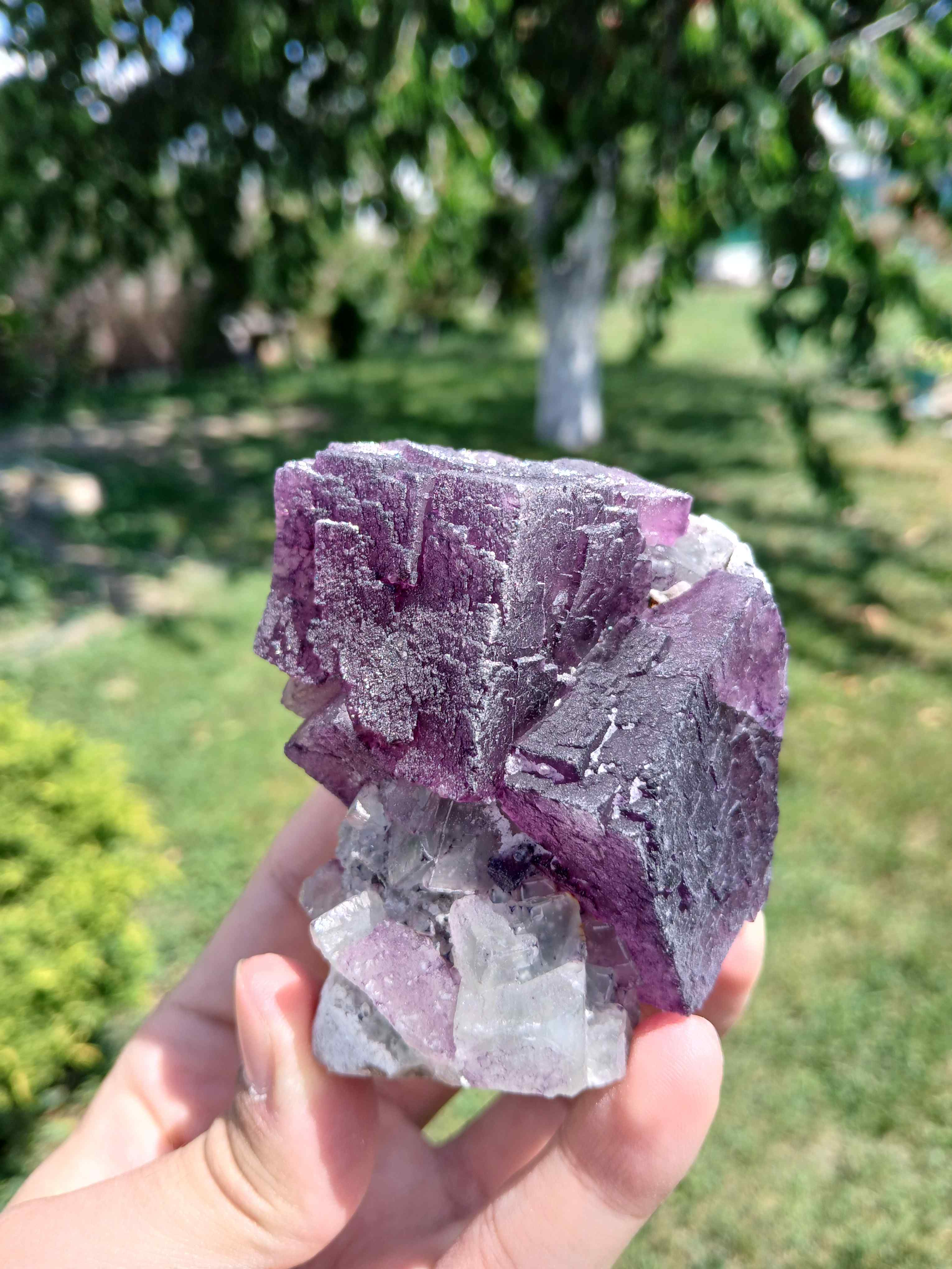 Fluorite Quartz